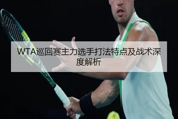 WTA巡回赛主力选手打法特点及战术深度解析