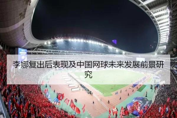 李娜复出后表现及中国网球未来发展前景研究